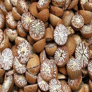 betel nuts, brazil nuts, cashew nuts, pistachios, walnuts, pine nuts and other nuts
