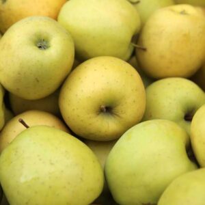 bulk fresh delicious apple